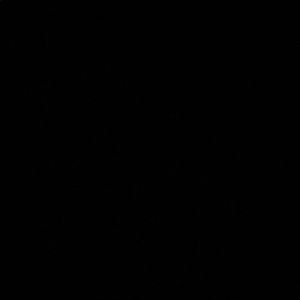 Meet your Posher, Ava